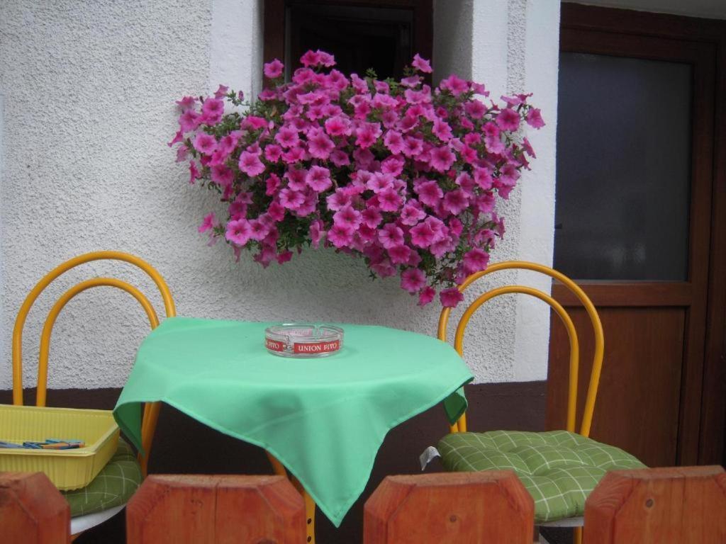 Apartmaji In Sobe Cuder Soča المظهر الخارجي الصورة