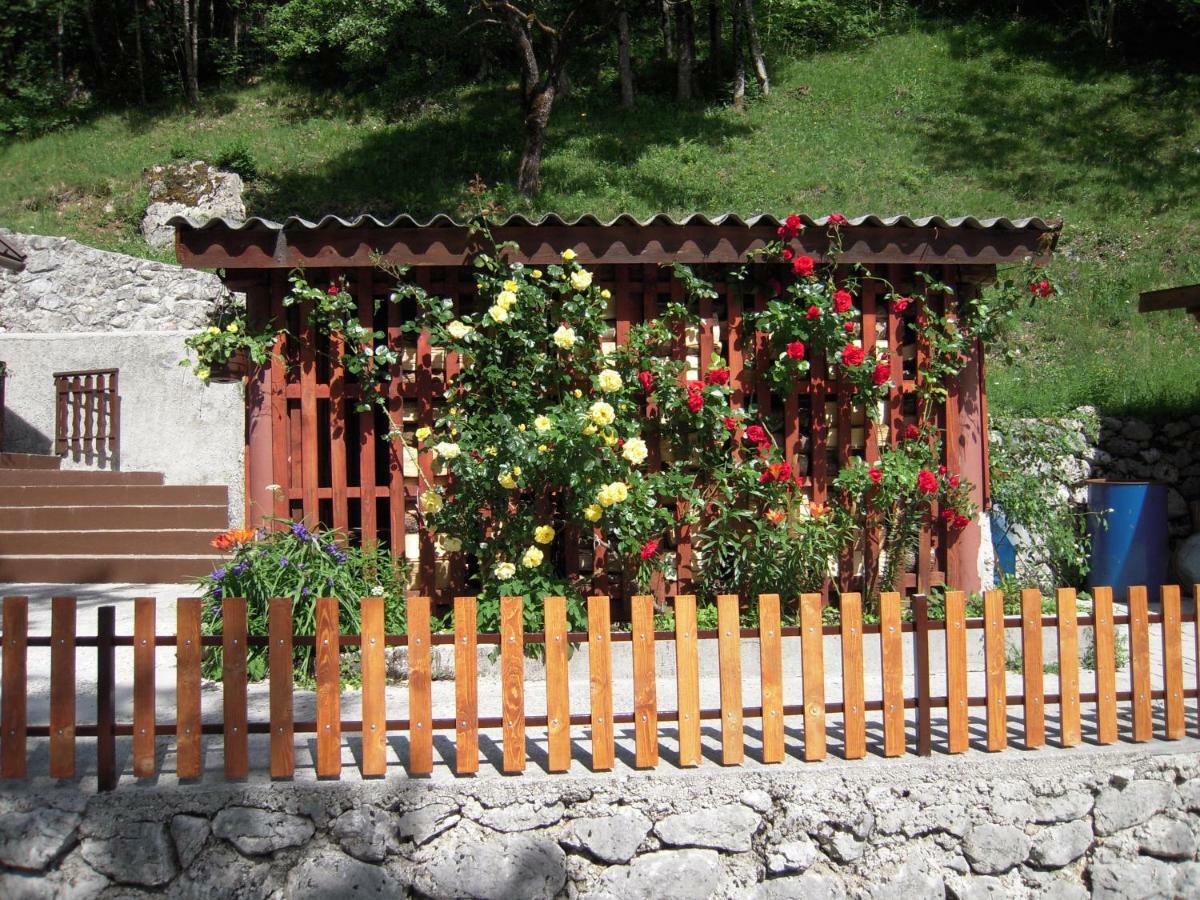 Apartmaji In Sobe Cuder Soča المظهر الخارجي الصورة